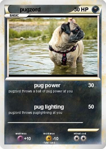 Pokemon pugzord