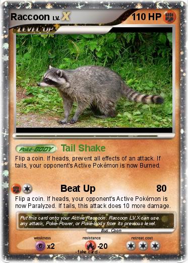 Pokemon Raccoon