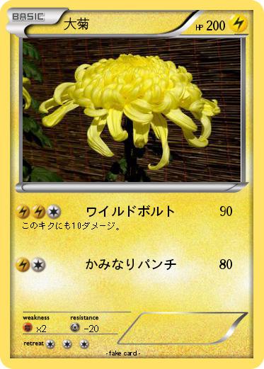 Pokemon 大菊