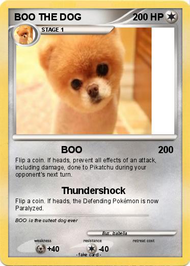 Pokemon BOO THE DOG