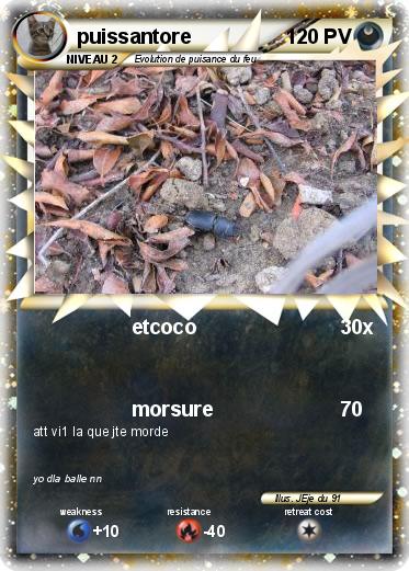 Pokemon puissantore