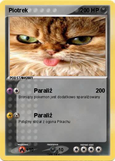 Pokemon Piotrek