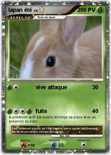 Pokemon lapan été