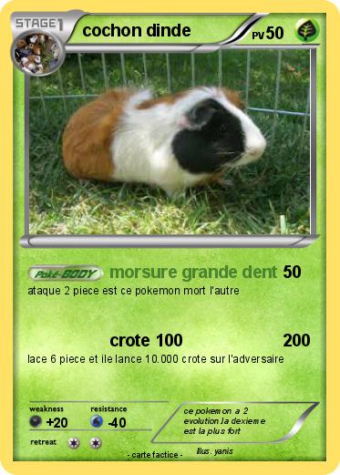 Pokemon cochon dinde