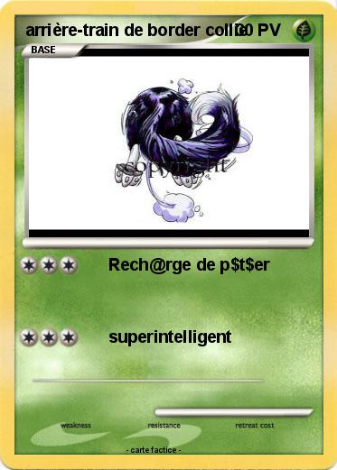 Pokemon arrière-train de border collie