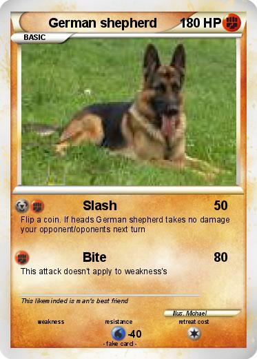 Pokemon German shepherd