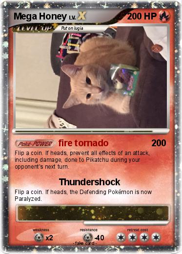 Pokemon Mega Honey