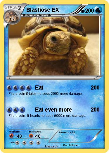 Pokemon Blastiose EX