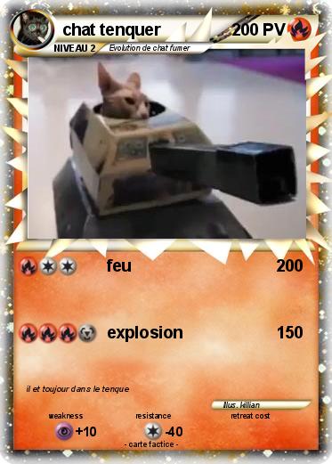 Pokemon chat tenquer