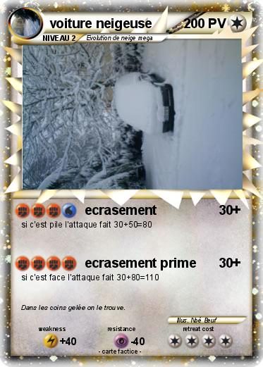 Pokemon voiture neigeuse