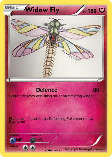 Pokemon Widow Fly