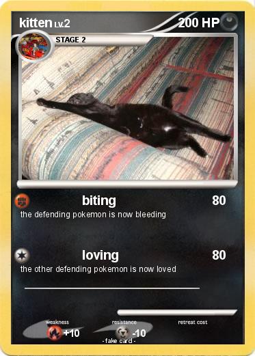 Pokemon kitten