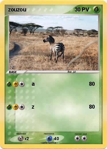 Pokemon zouzou