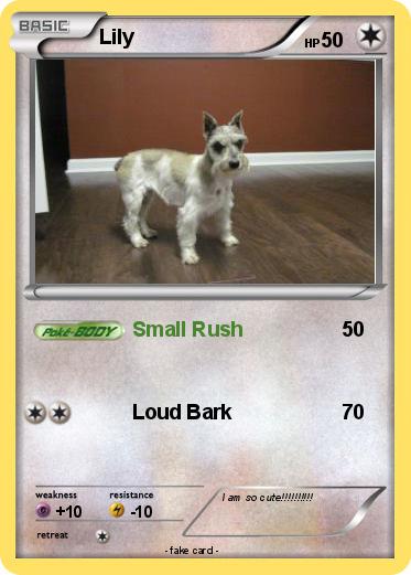 Pokemon Lily