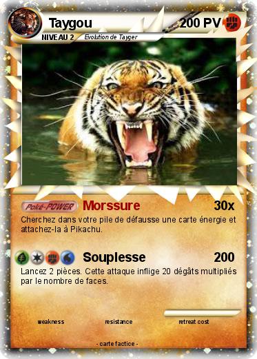 Pokemon Taygou