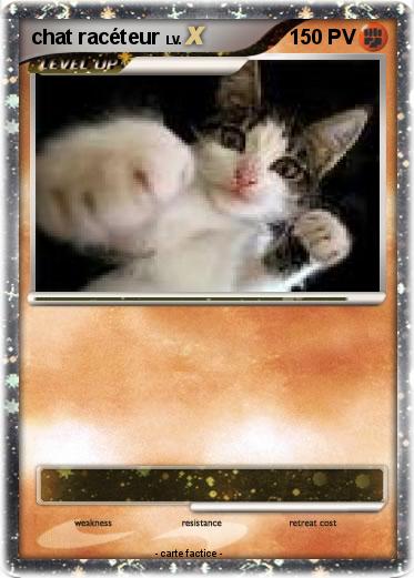 Pokemon chat racéteur