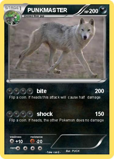 Pokemon PUNKMASTER