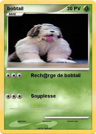 Pokemon bobtail