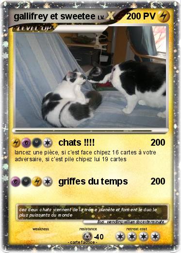 Pokemon gallifrey et sweetee