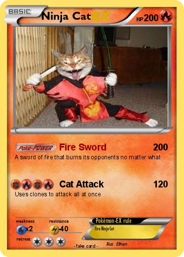 Pokemon Ninja Cat