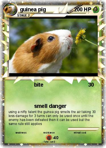 Pokemon guinea pig