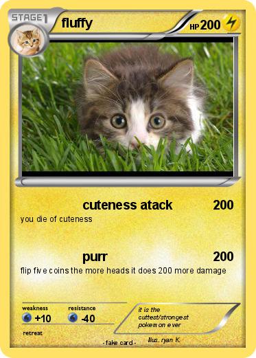 Pokemon fluffy