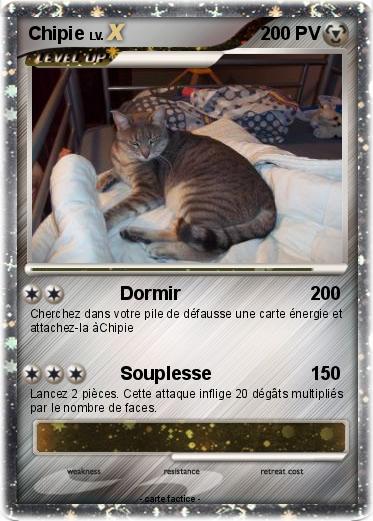 Pokemon Chipie