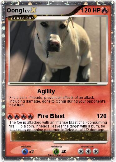 Pokemon Oongi