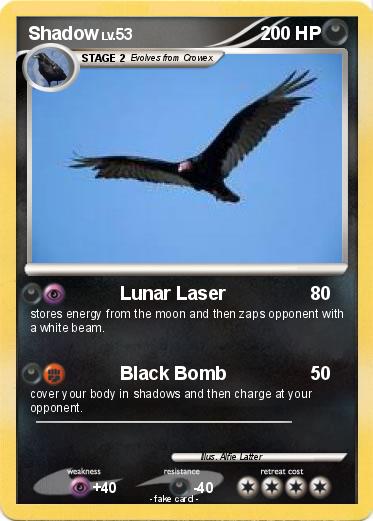 Pokemon Shadow