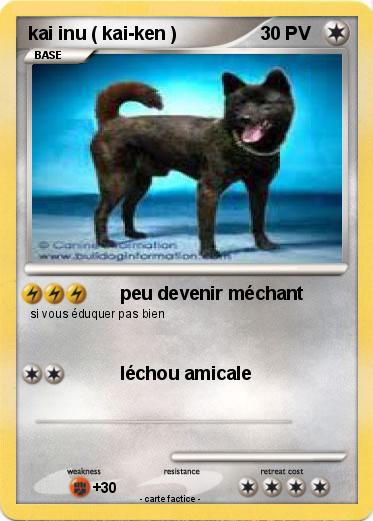 Pokemon kai inu ( kai-ken )