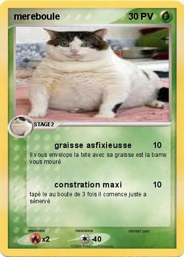 Pokemon mereboule