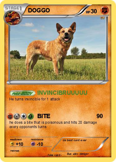 Pokemon DOGGO