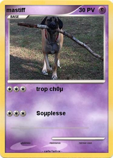 Pokemon mastiff