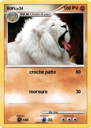 Pokemon lion