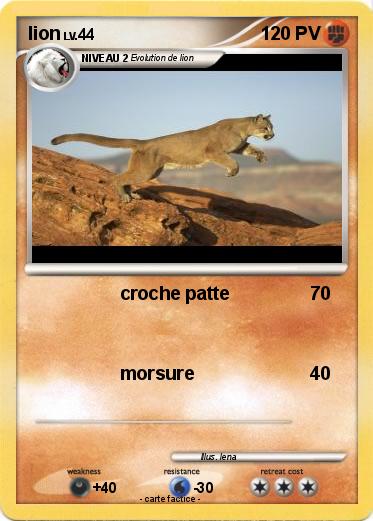 Pokemon lion