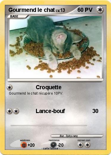 Pokemon Gourmend le chat