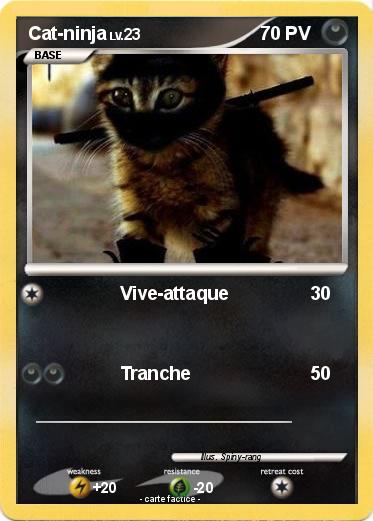 Pokemon Cat-ninja