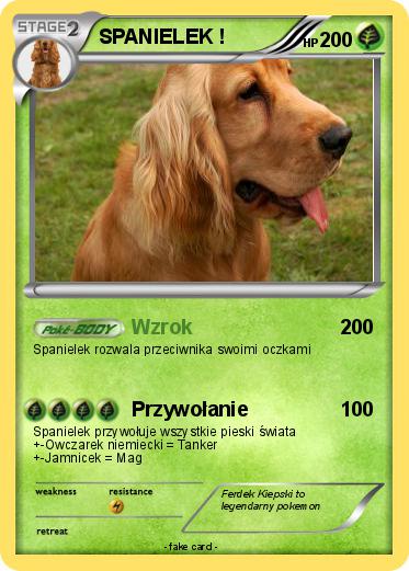 Pokemon SPANIELEK !