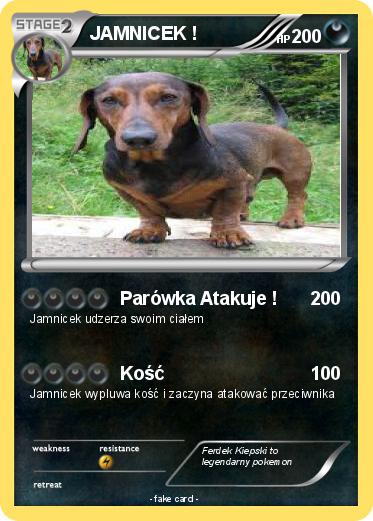 Pokemon JAMNICEK !