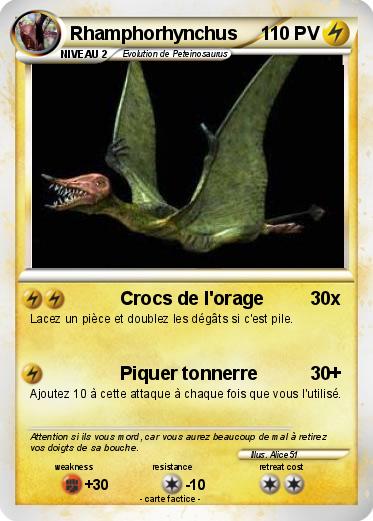 Pokemon Rhamphorhynchus