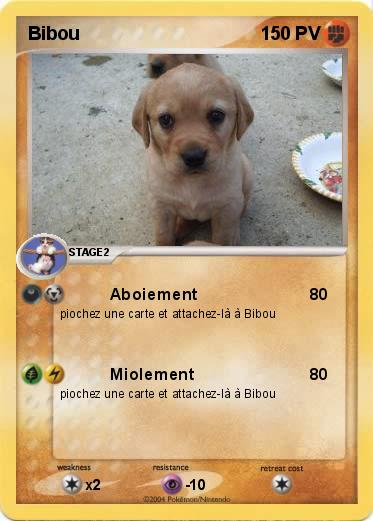 Pokemon Bibou