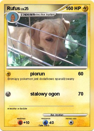 Pokemon Rufus