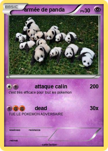 Pokemon armée de panda