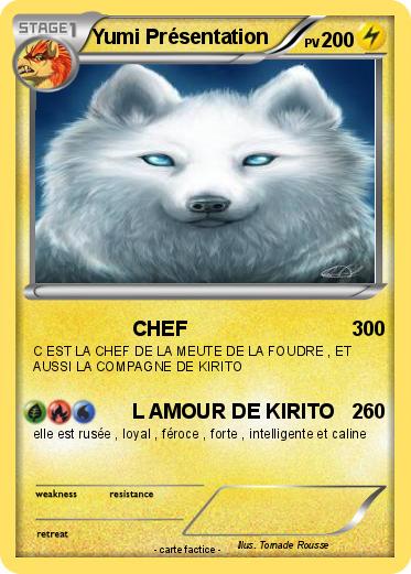 Pokemon Yumi Présentation