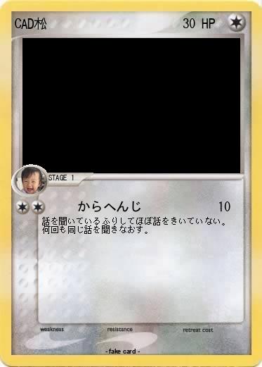Pokemon CAD松
