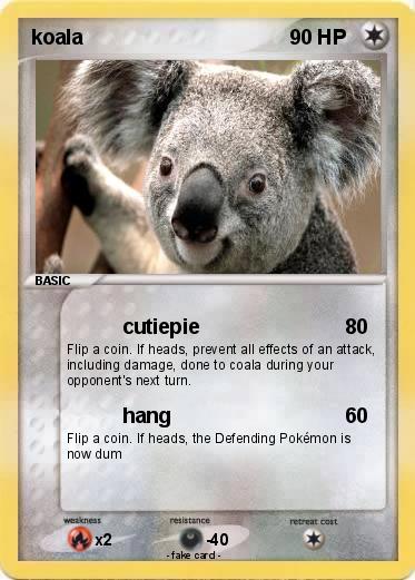 Pokemon koala