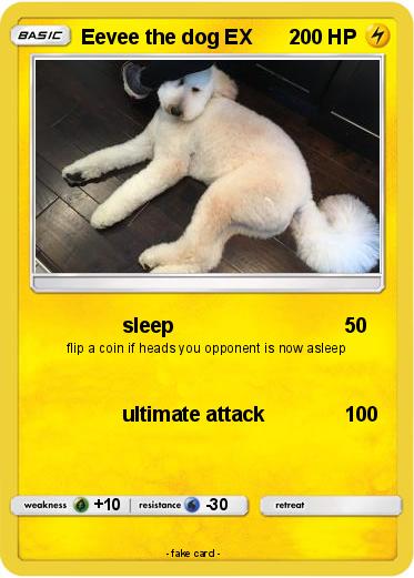 Pokemon Eevee the dog EX