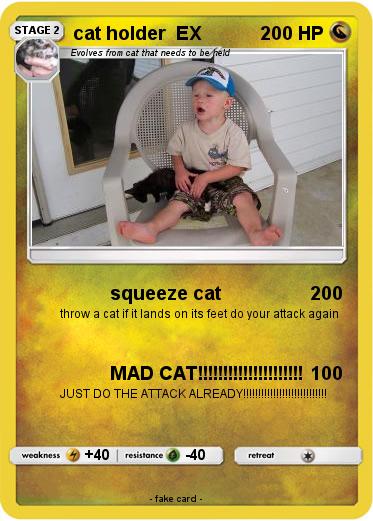 Pokemon cat holder  EX