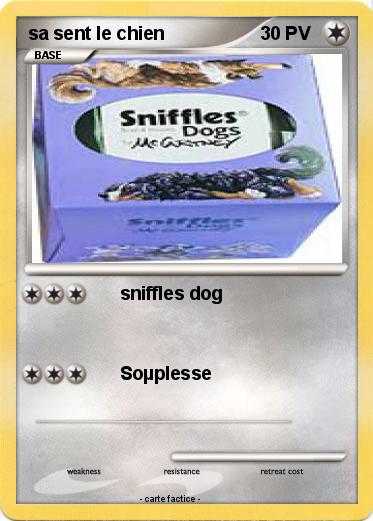 Pokemon sa sent le chien