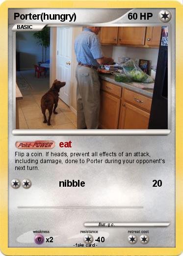 Pokemon Porter(hungry)